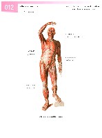 Sobotta Atlas of Human Anatomy  Head,Neck,Upper Limb Volume1 2006, page 19